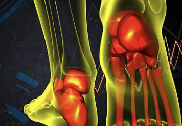 백혈구 수치가 낮은 이유 19