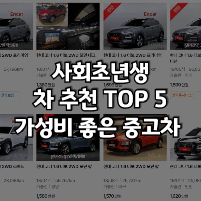 사회 초년생 차 추천
