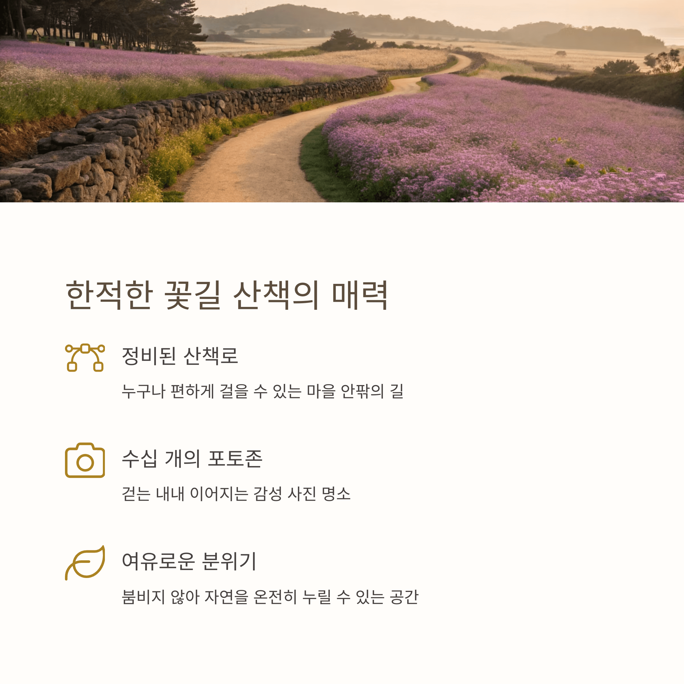정비된 꽃길 산책로와 포토존이 가득한 와흘메밀마을의 산책 매력 안내