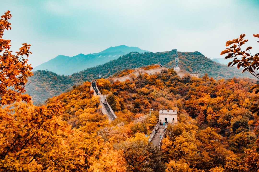 China Deepfic Stocks
