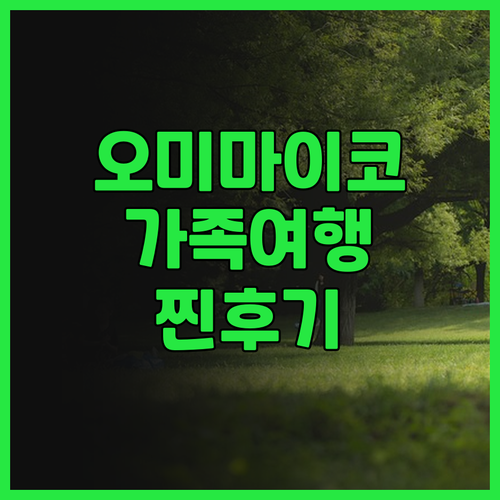 알빌라 오미마이코 실제 후기 가족 여..