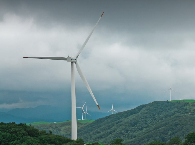 여름 휴가 국내 가족 여행지 추천 5곳