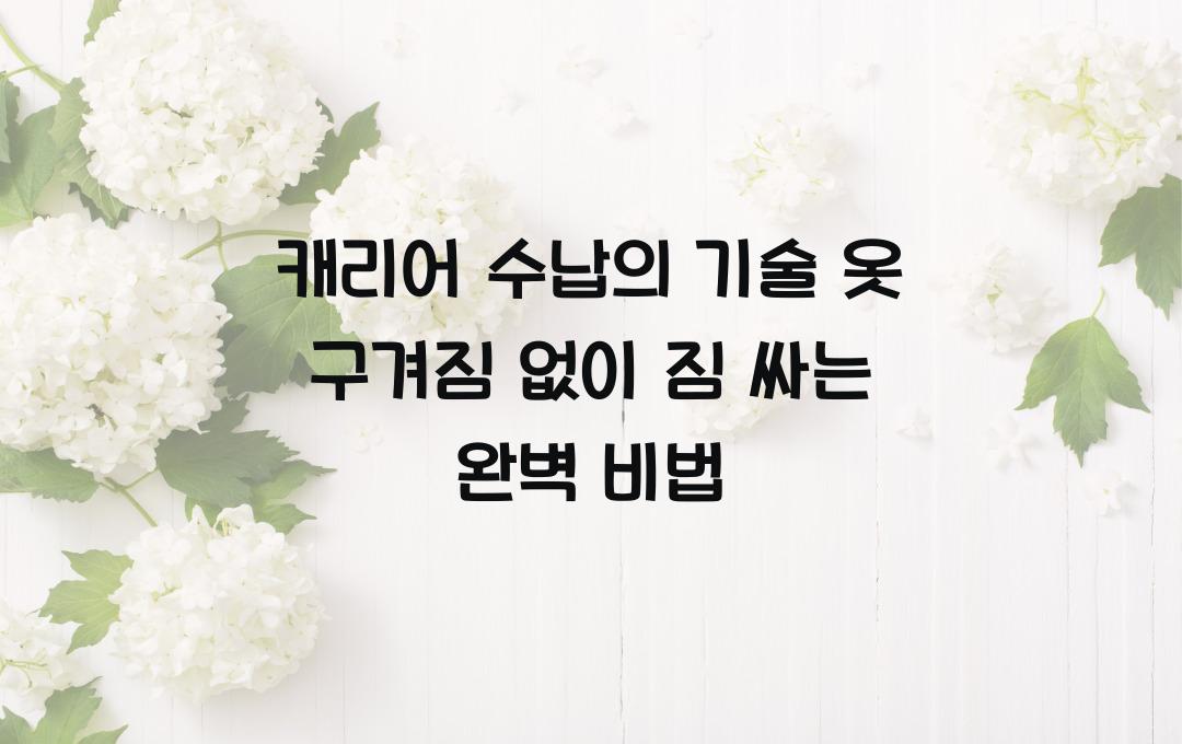  캐리어 수납의 기술, 옷 구겨짐 없이 효율적으로 짐 싸는 방법