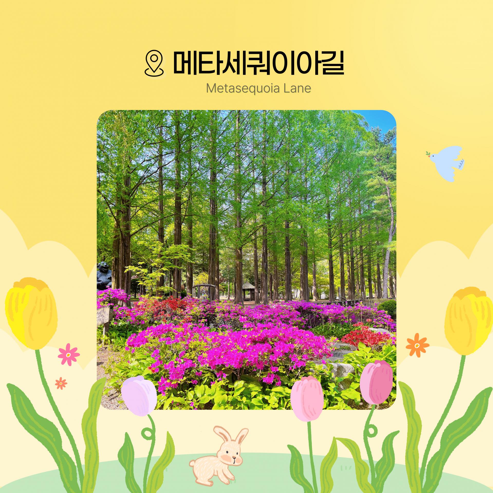 남이섬
