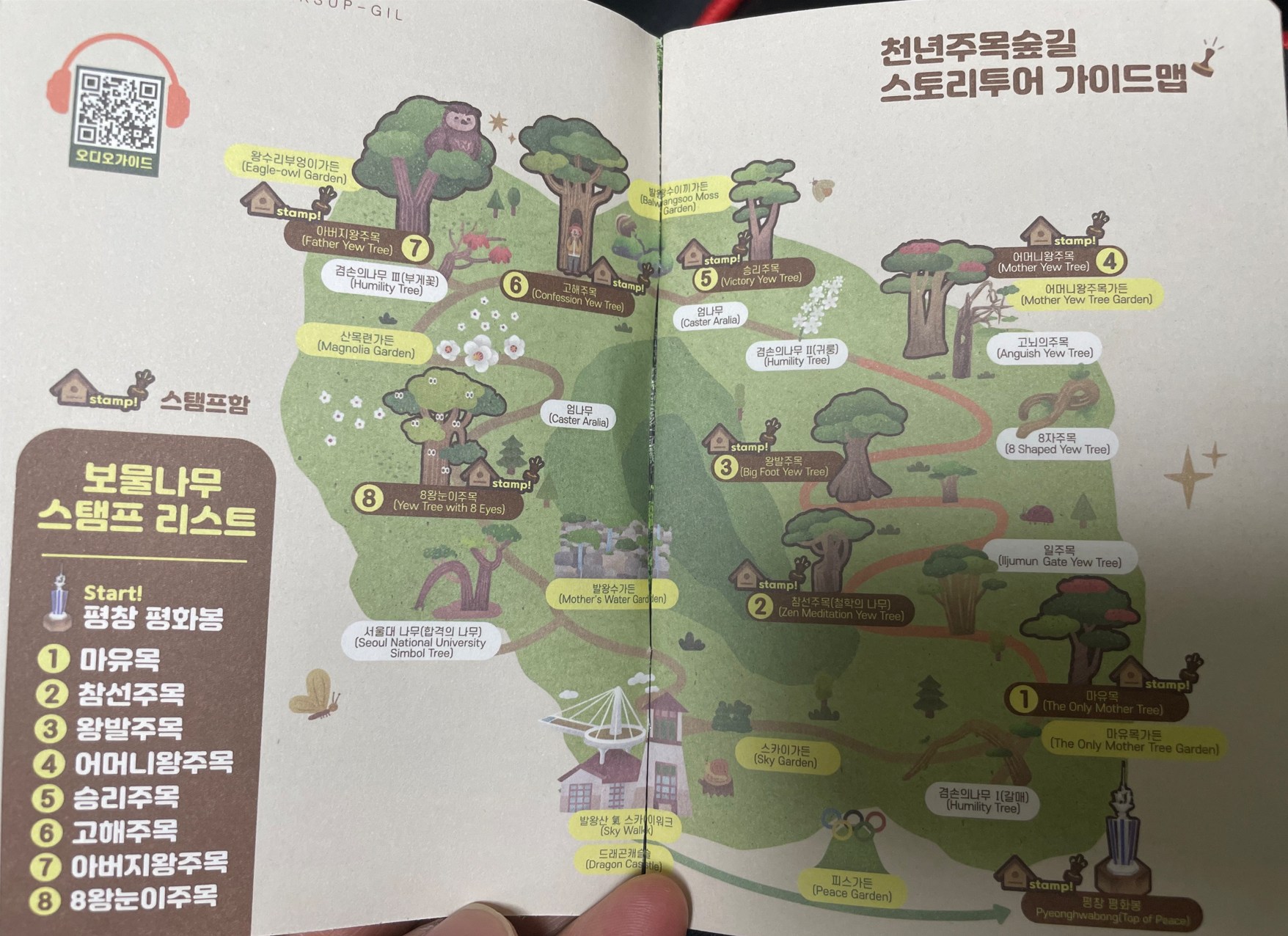 천년주목숲길 지도