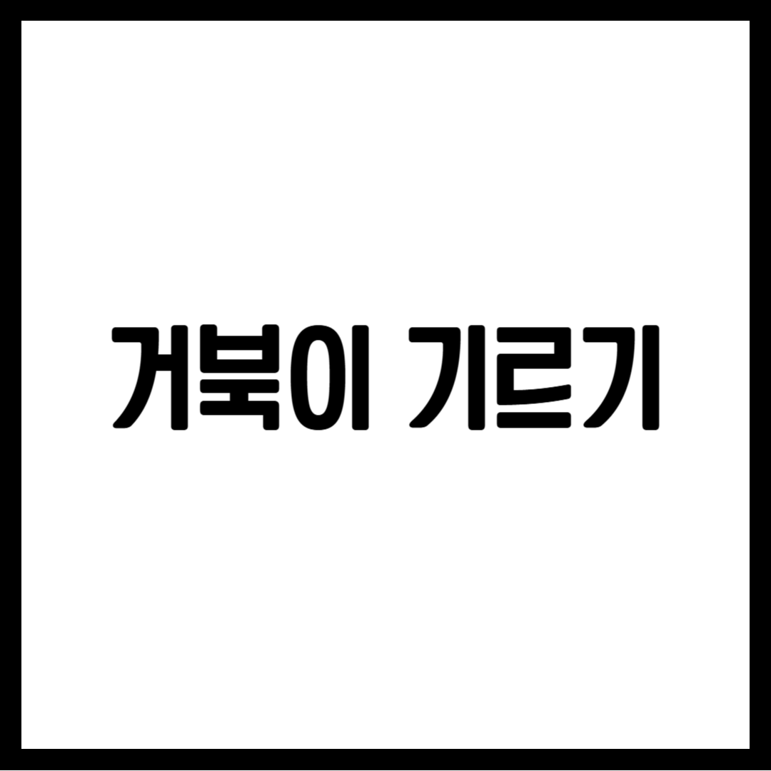 거북이 기르기