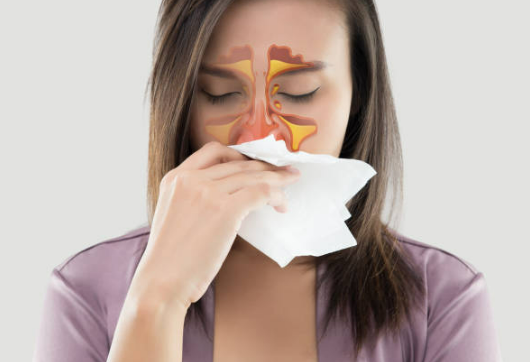 비염의근본적원인