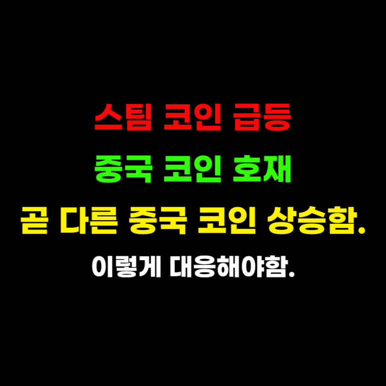스팀 코인 중국 코인 호재 시세 전망