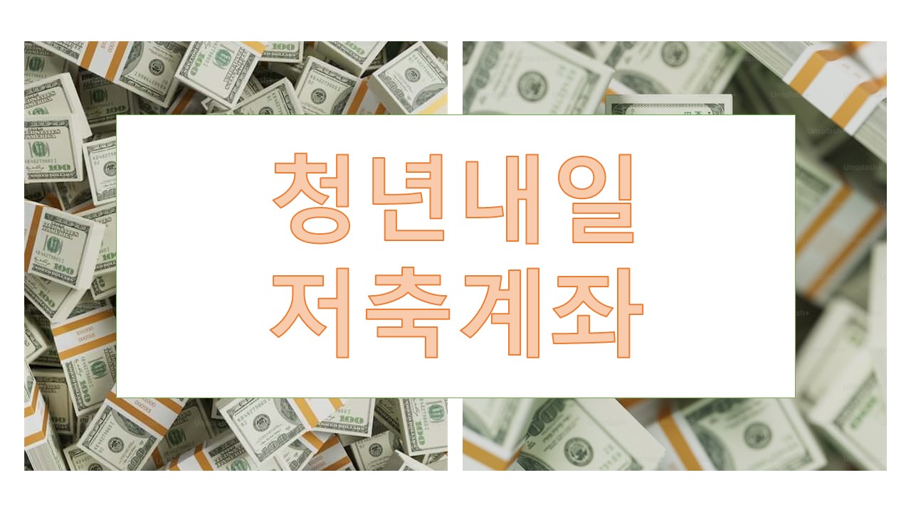 청년내일저축계좌 청년도약계좌 비교분석