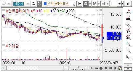 인트론바이오-주가차트
