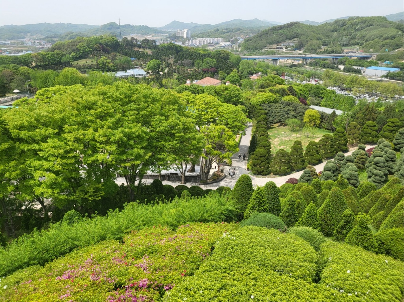 베어트리파크