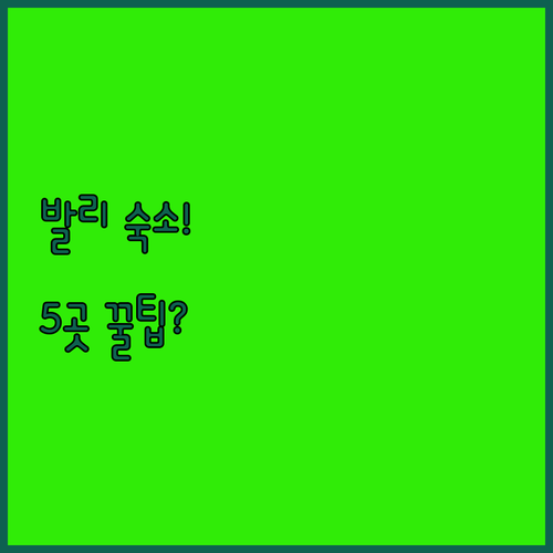 발리 숙소 5곳 비교 해변 글램핑부터..