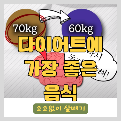 의사가 알려주는 요요없이 평생 유지할 수 있는 지방 가장 빨리 제거하는 다이어트에 좋은 음식 1편 썸네일