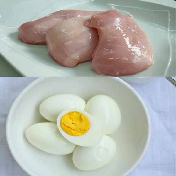 닭가슴살과 계란
