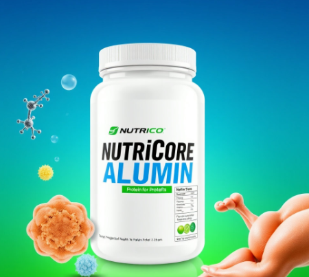 뉴트리코어 알부민 그림