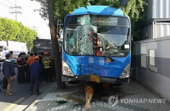 대구 시내버스 첫차시간 노선별 운행정보와 이용 꿀팁_9