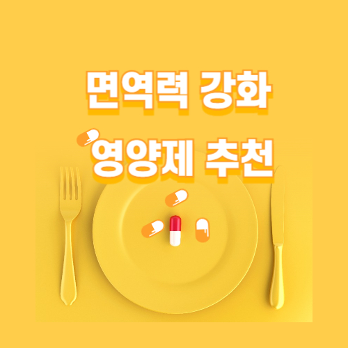면역력 높이는 영양제 추천 사진