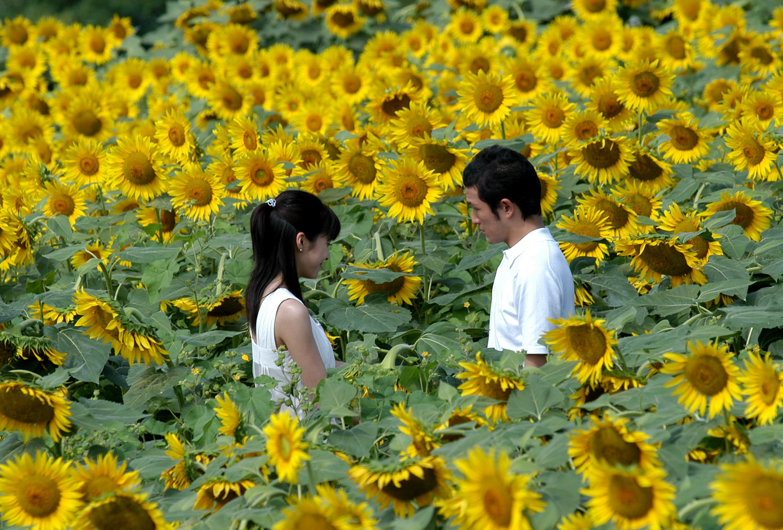 지금 만나러 갑니다 중 한 장면