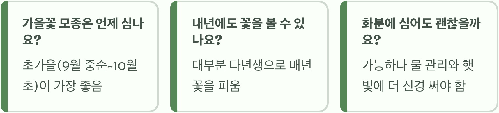 가을부터 초겨울까지 오래 피는 가을꽃모종 리스트