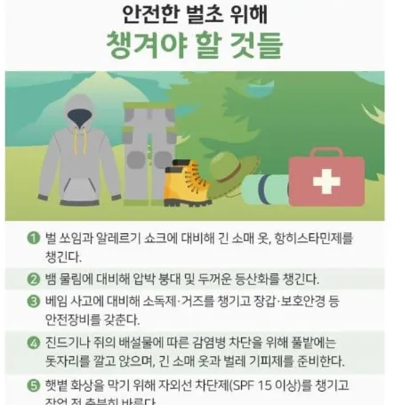 안전한 벌초를 위해 챙겨야 할 것들
