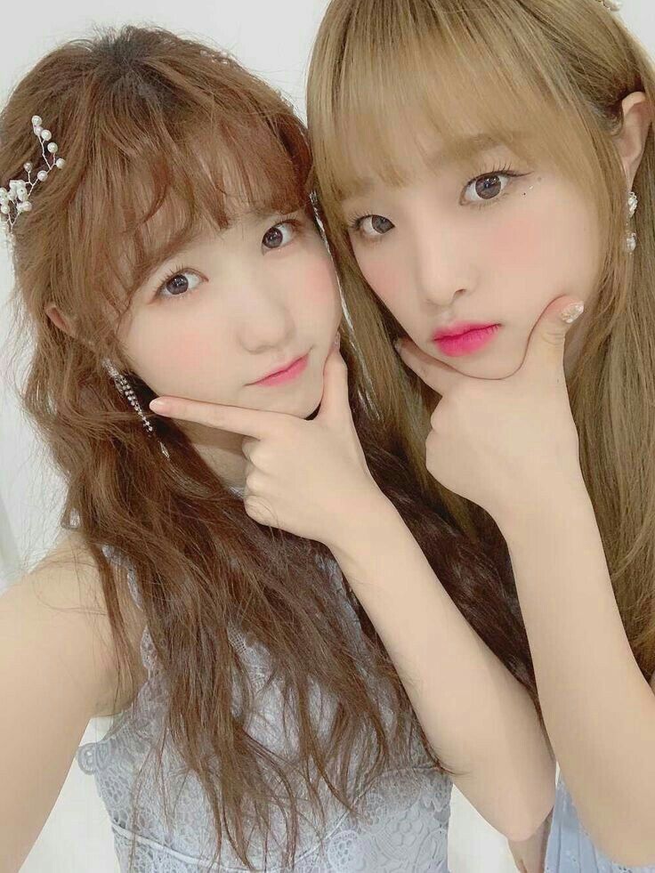 아이즈원 프로듀스48 사진 모음 아이즈원 프로듀스48 사진 모음