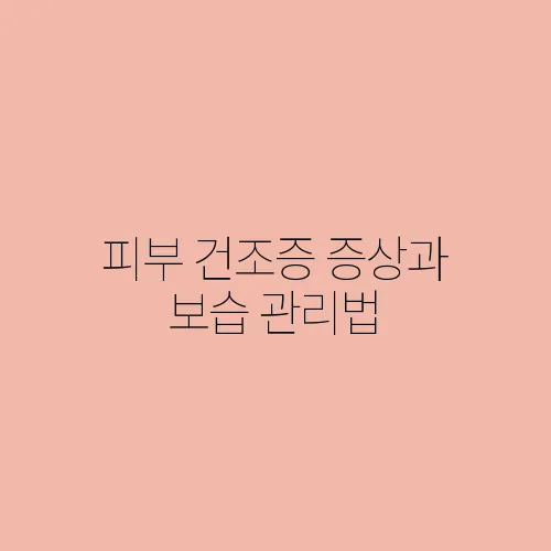 피부 건조증 증상과 보습 관리법