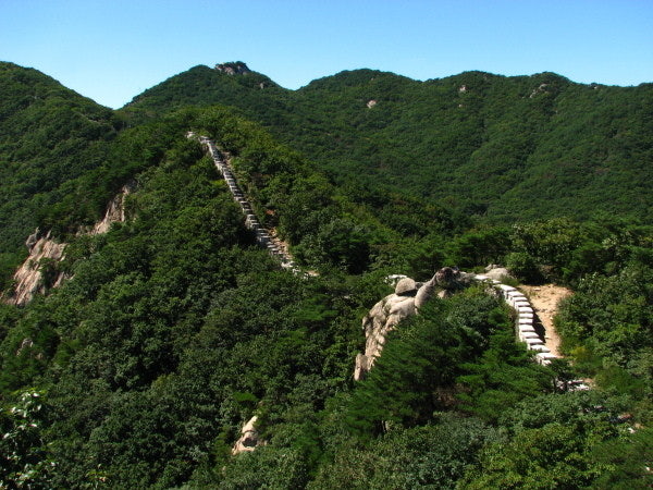 북한산 사기막 야영장 예약 명당