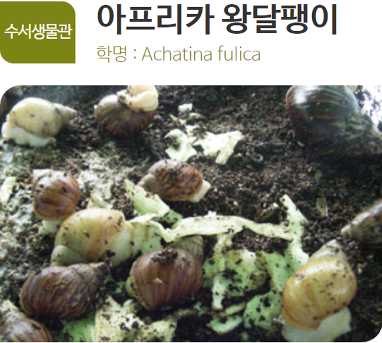 아산 생태곤충원