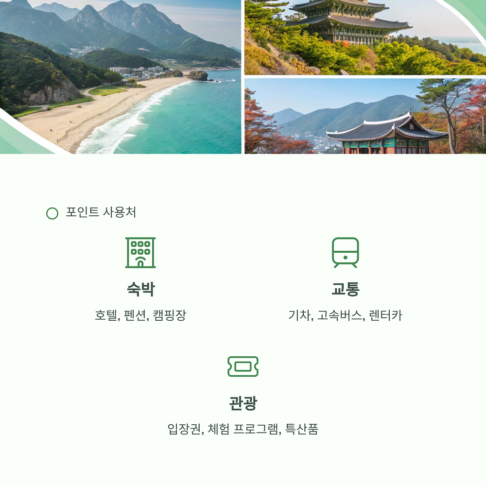 텍스트 이미지