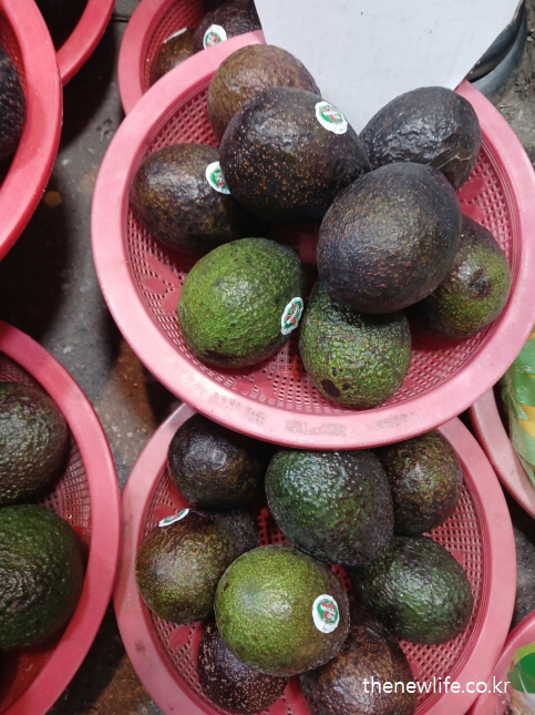 아보카도는 칼륨과 건강한 지방이 풍부해 소금을 많이 먹으면 발생할 수 있는 혈압 상승과 소금 부작용 예방에 도움이 되는 과일입니다.