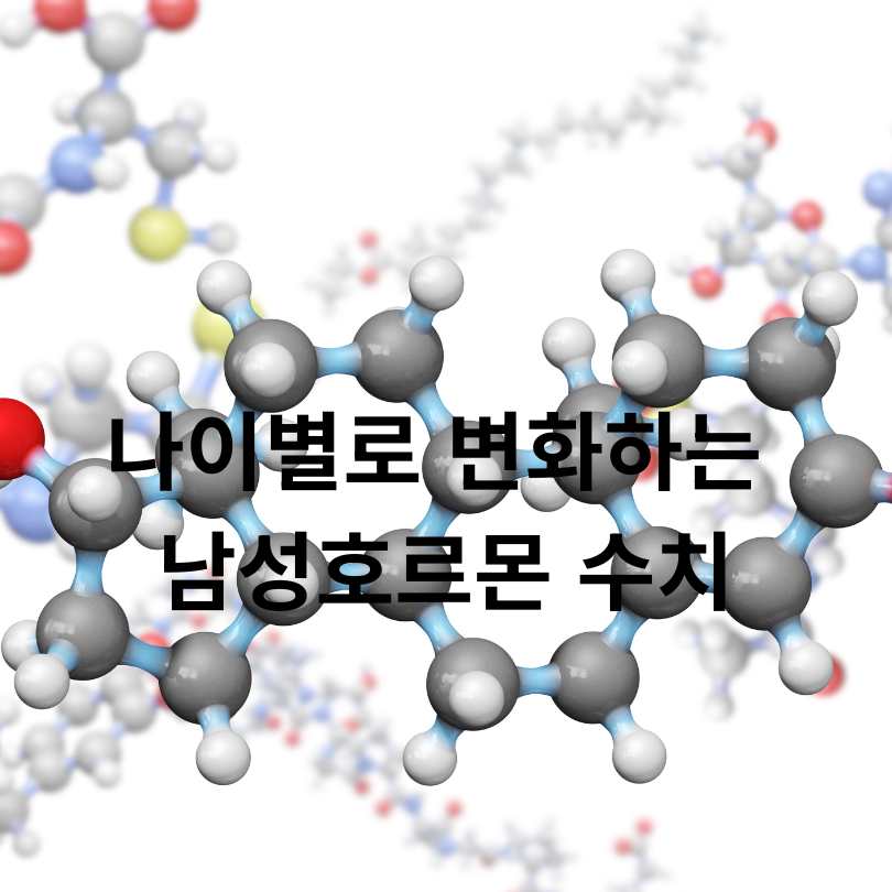 나이별 남성호르몬 수치 변화와 탈모의 연관성