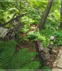 화담숲-예약하기-입장료-운영시간