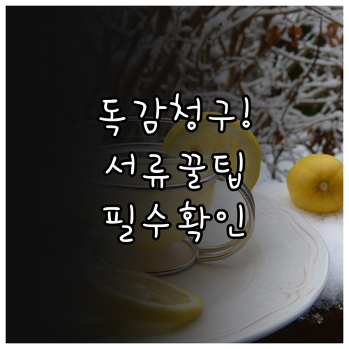 10만원 이하 소액 보험 청구 시 유..