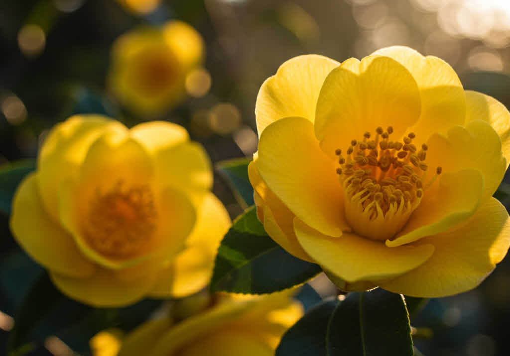 MBTI 성격 유형별 스트레스 해소법