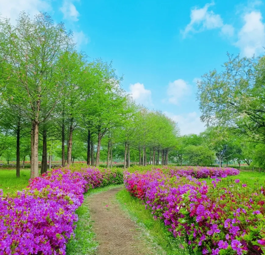 가평 여행지 중 한곳