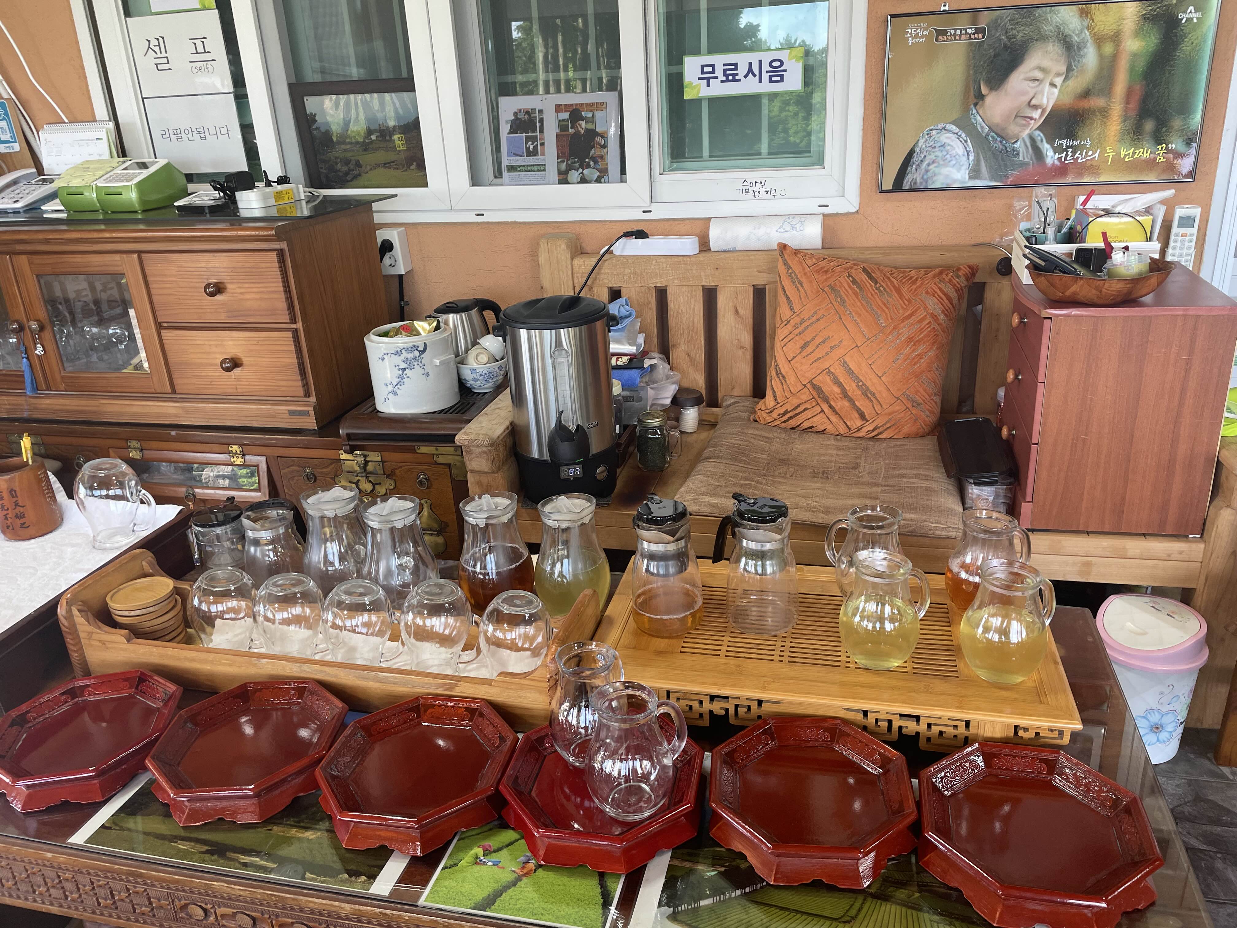 서귀다원 내부 사진