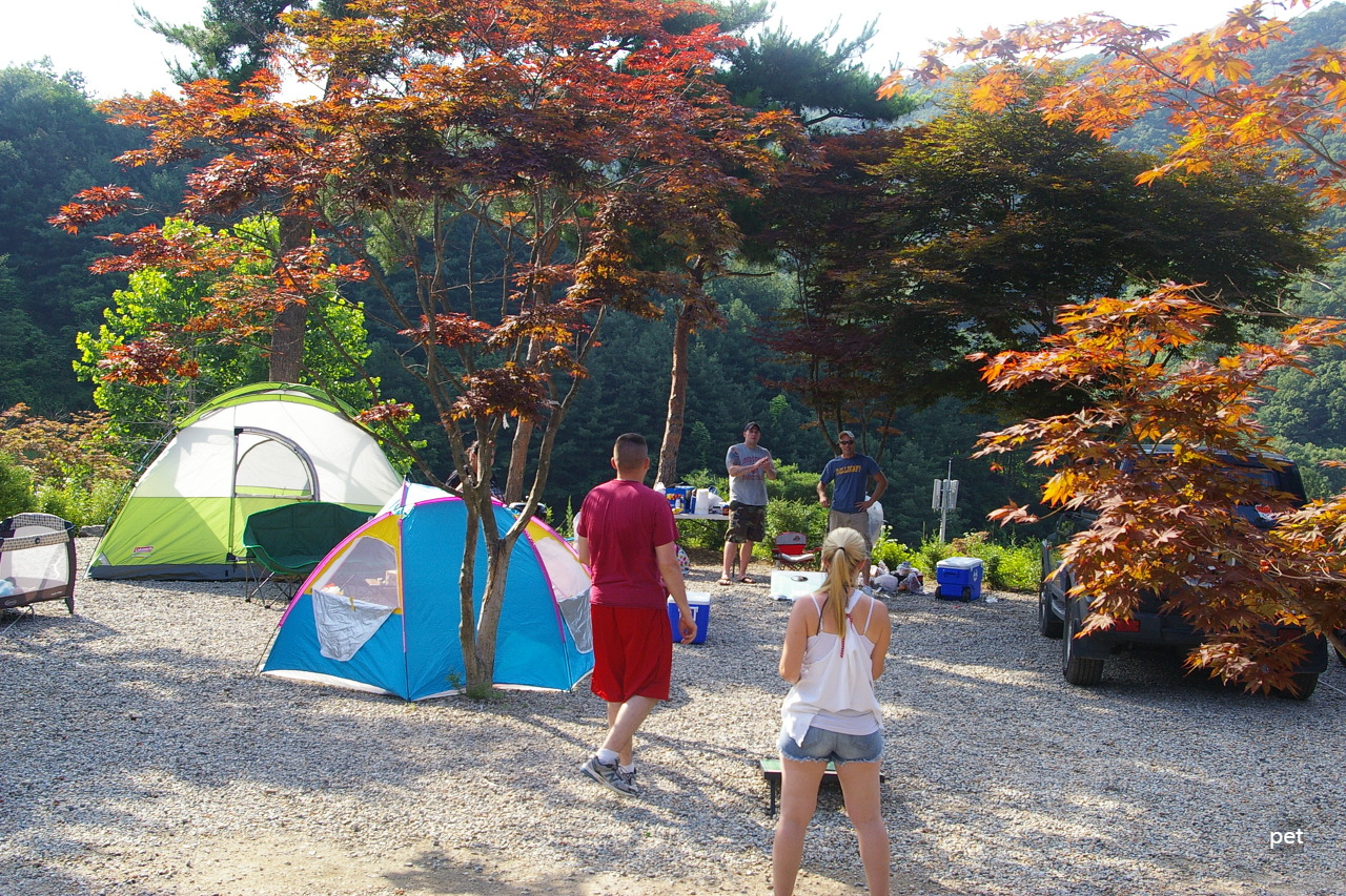 경기-동두천-산야초자연캠핑장-예약-방법-애견-동반-가격-주소-시간-후기