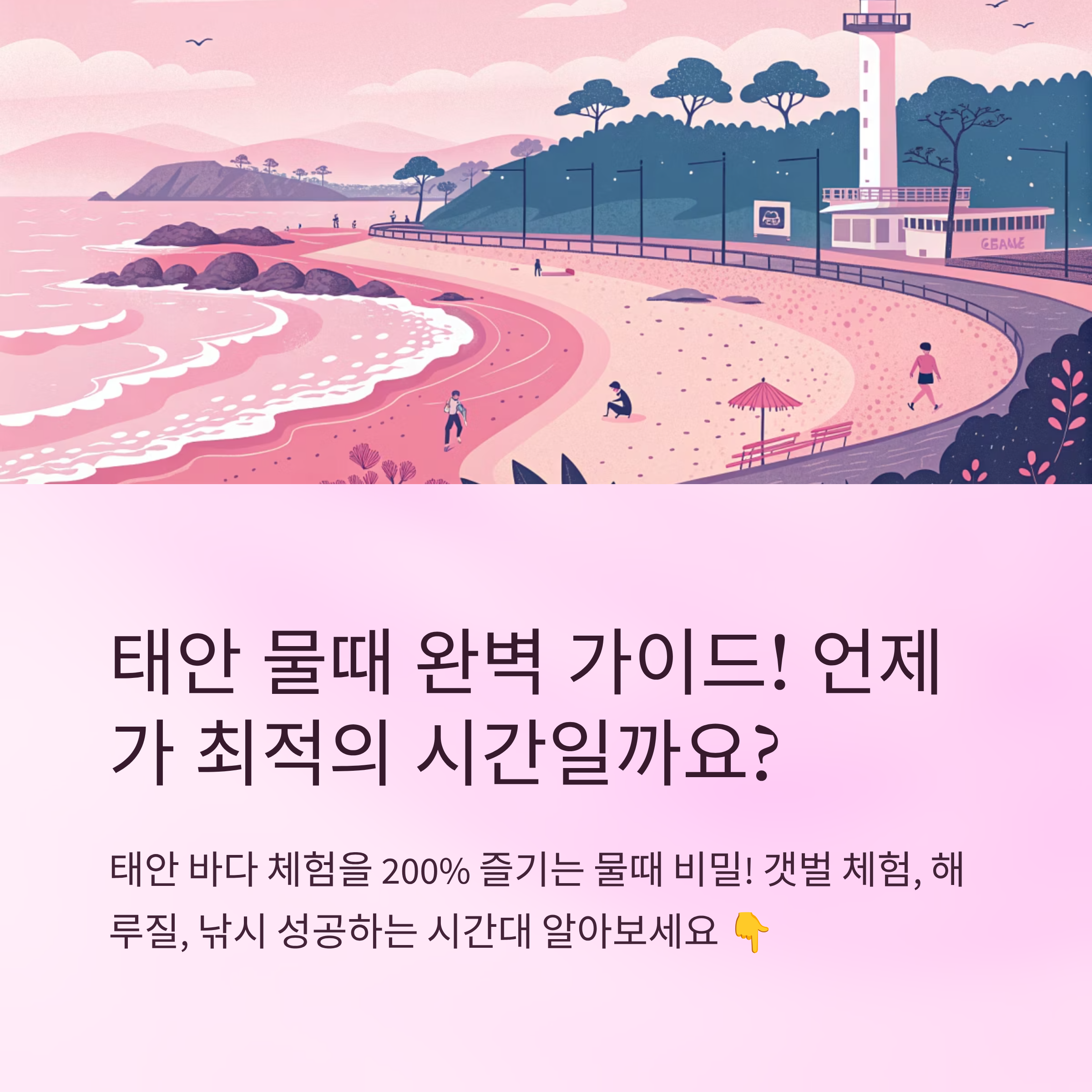 태안 물때 언제가 좋은 시간대일까