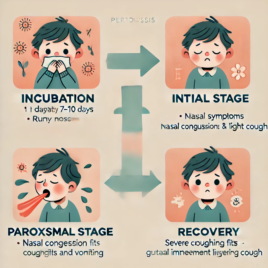 백일해 ❘ 백일해 주사 ❘ 백일해 검사 ❘ 백일해 항생제 ❘ 타 질환과의 구별법