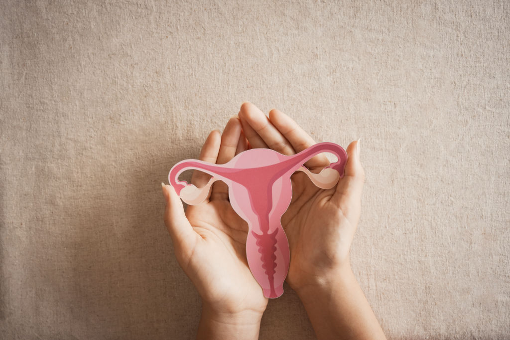 갱년기 증상 30가지 