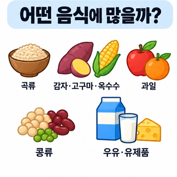 쌀 현미 빵 감자 고구마 과일 콩류 우유 등 탄수화물이 많은 대표 식품을 보여주는 이미지