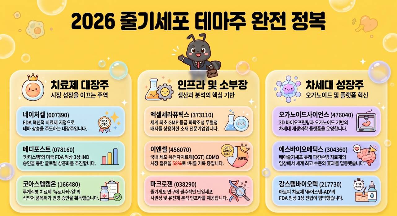 줄기세포 관련주 테마 전체 종목 2026년
