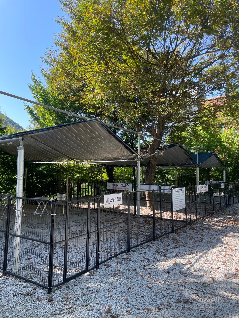 [경기] 양주 : 개네집캠핑장 (애견동반가능)