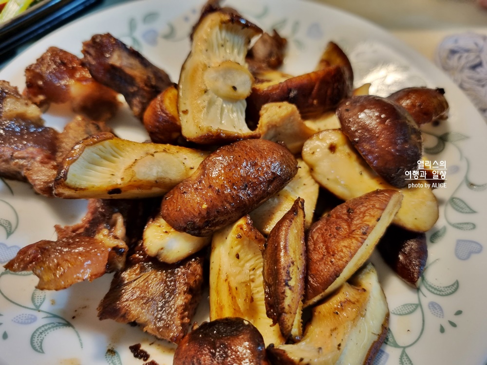 국내온천 여행 2022 수안보 온천축제 3일차 참여 관람 후기