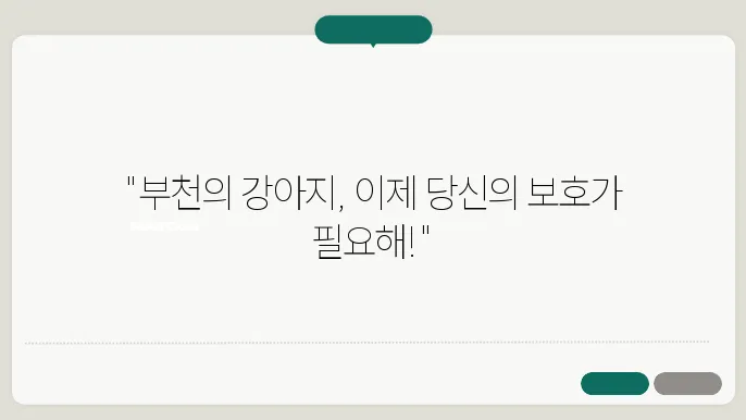부천강아지보호소 유기견 봉사자 활동