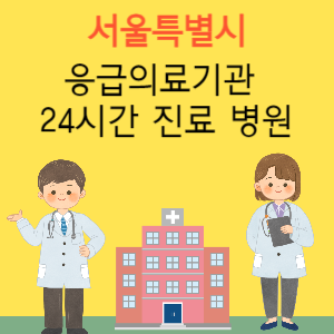 서울 근처 응급실 24시간 야간 휴일 일요일 진료 병원