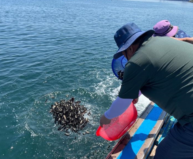 어업인 재해보험