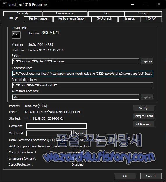 악성코드 CMD 코멘드 라인