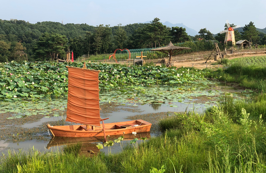 철원 고석정 꽃축제