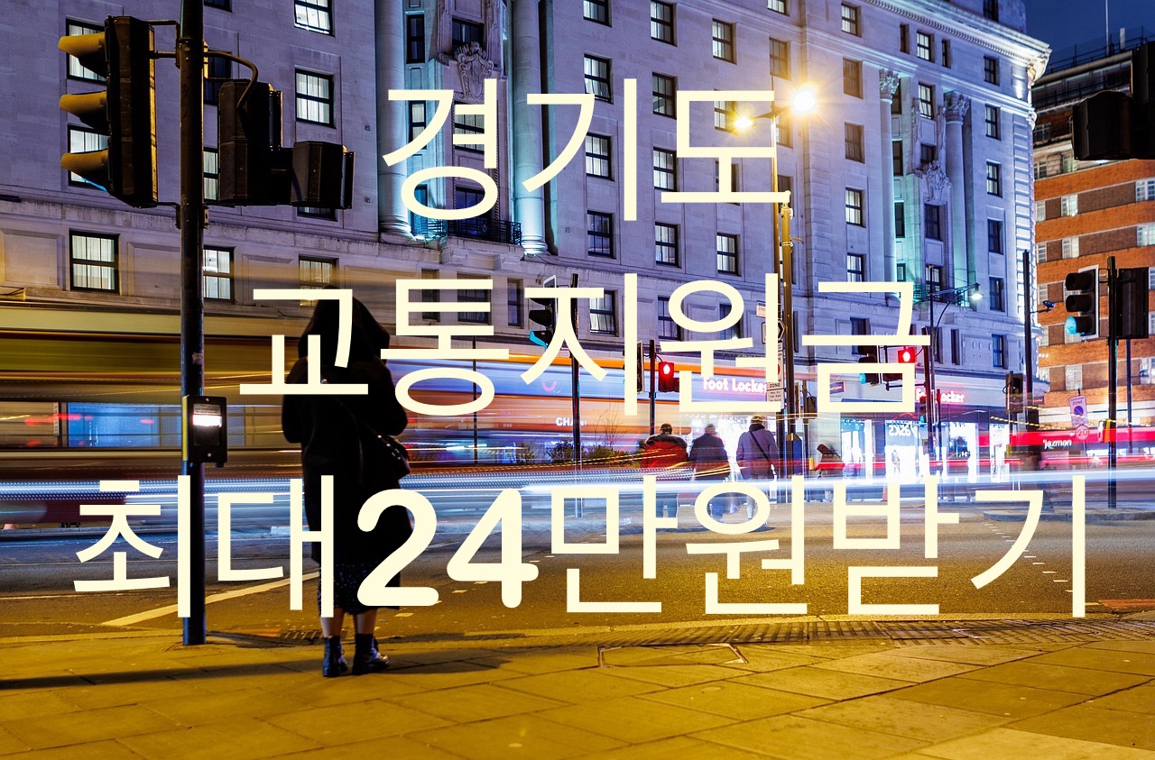 경기도 교통지원금